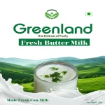 Greenland Buttermilk 250ML